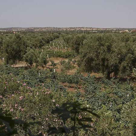Ryad De Vignes " Le Val D'Argan " Ounara Luaran gambar