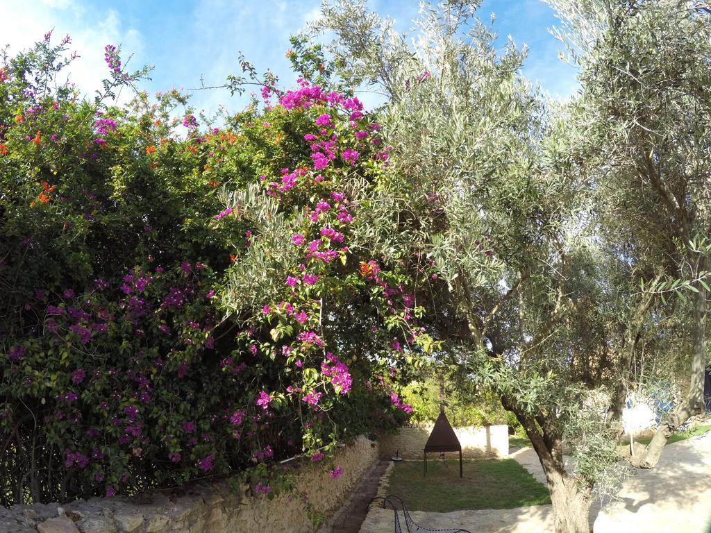 Ryad De Vignes " Le Val D'Argan " Ounara Luaran gambar
