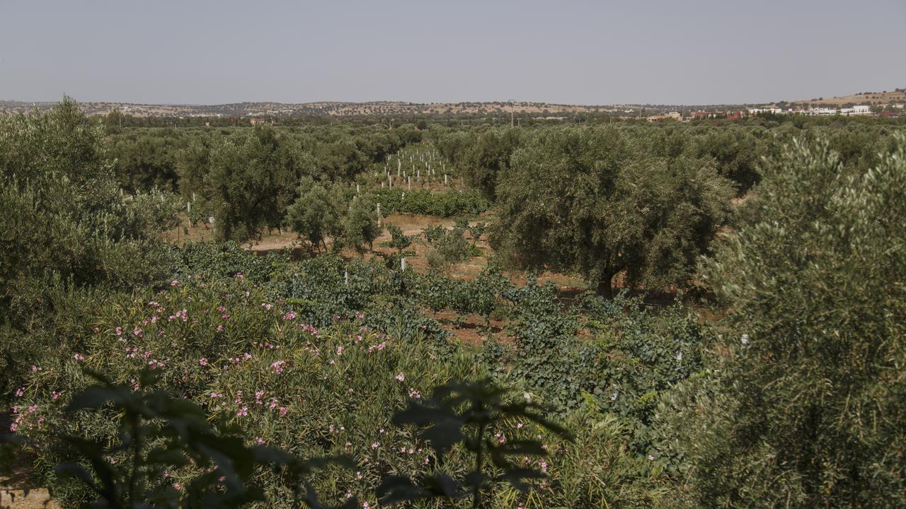 Ryad De Vignes " Le Val D'Argan " Ounara Luaran gambar